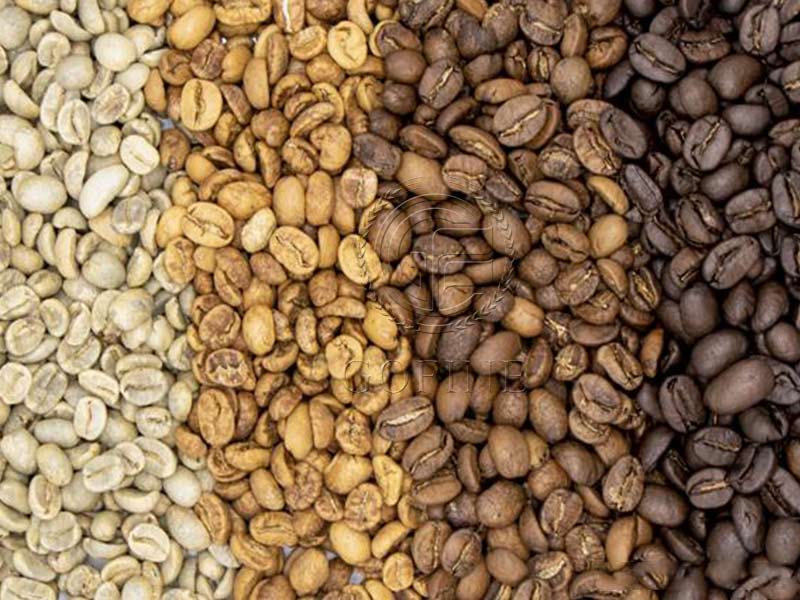 Light Roast vs. Dark Roast: Two Worlds of Coffee Fla