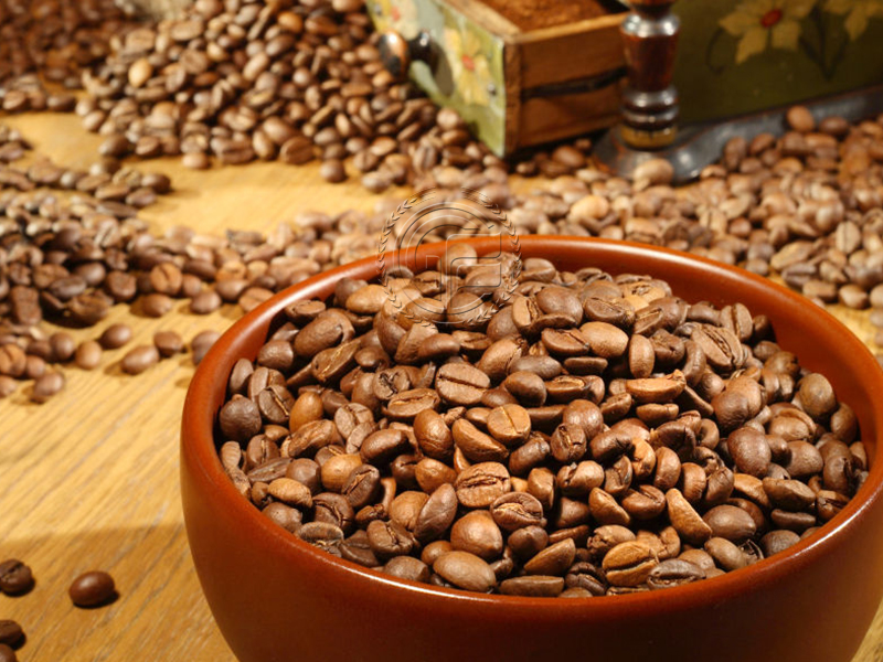 Stainless Steel Coffee Roaster with Flexible Energy S