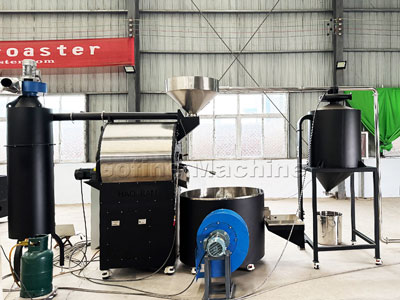 Coffee Bean Destoners: Ensuring Purity in High Volume Roasting Lines
